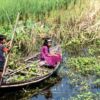 Children Navigating the Green Waterway