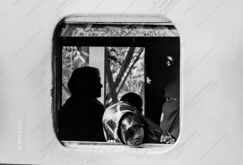 Between Light and Shadow