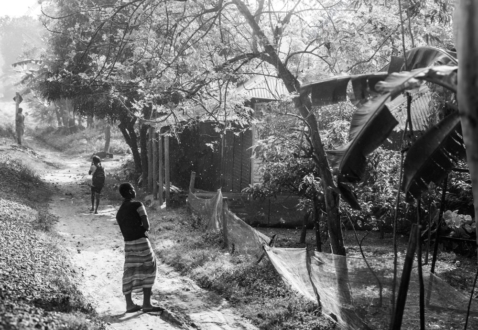 Travelers on a Sun-Dusted Path