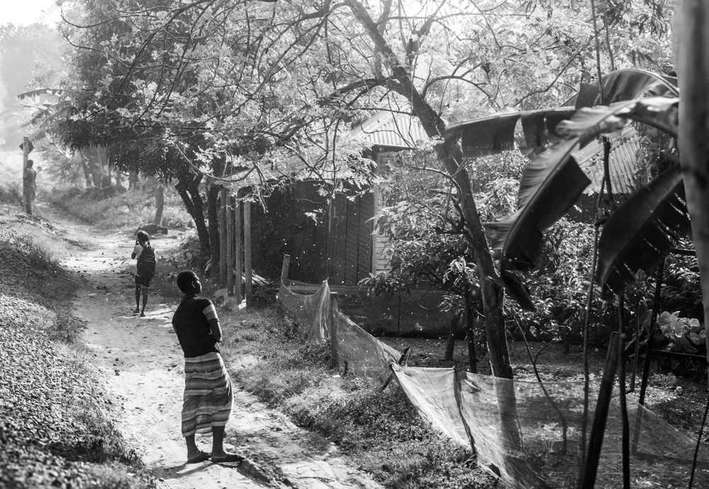 Travelers on a Sun-Dusted Path