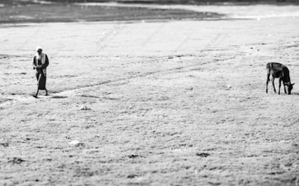 A Herder and His Cow on the Plain