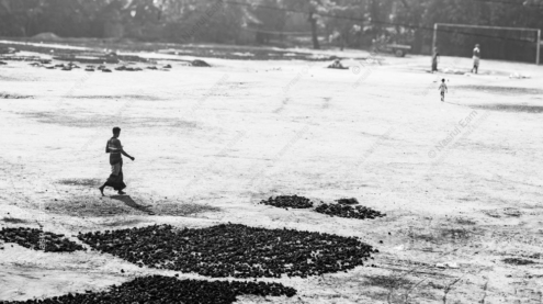 A Walk Across the Drying Field
