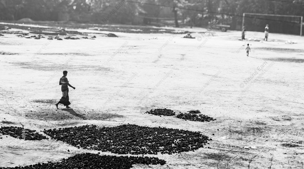 A Walk Across the Drying Field