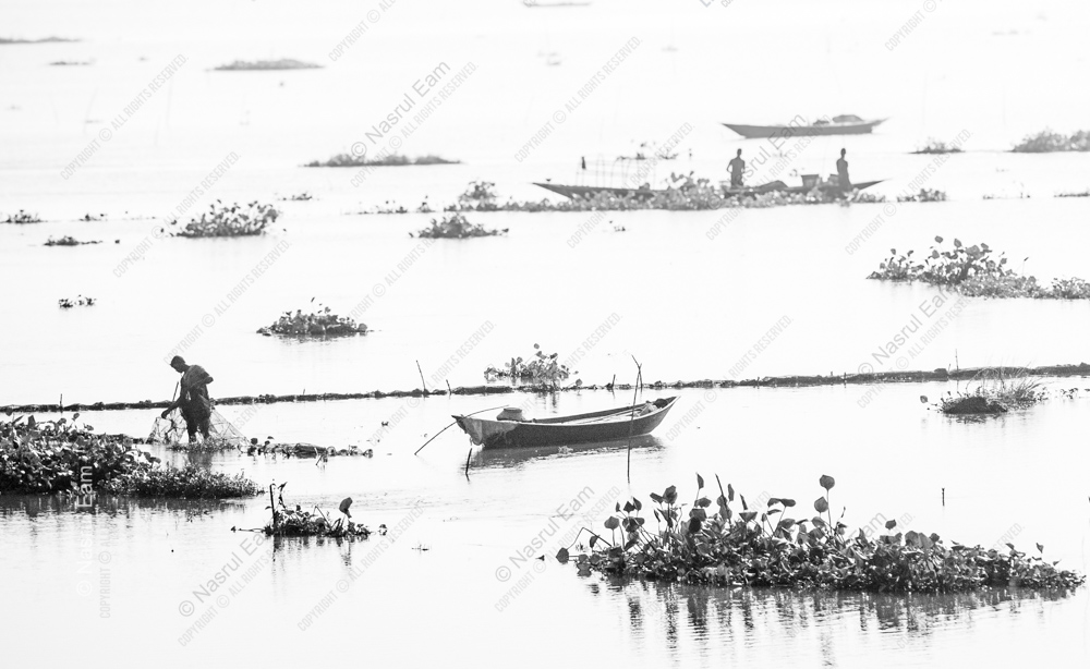 Fisherman on the Luminous Water