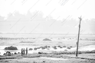 By the Flooded Plain