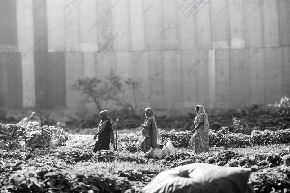 Three Women Walking by the Concrete Wall