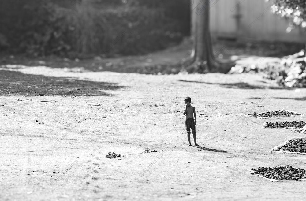 Boy in the Sunlit Drying Yard