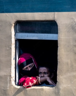 Gazing from a Rustic Window