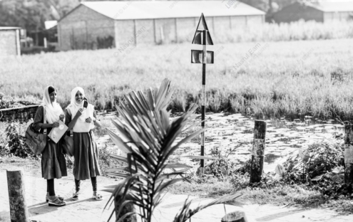 Schoolgirls by the Lily Pond