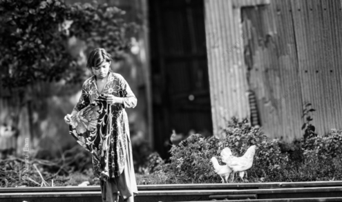 Girl and Two Chickens on the Tracks