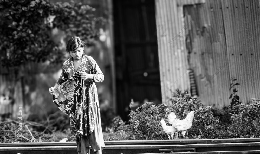 Girl and Two Chickens on the Tracks