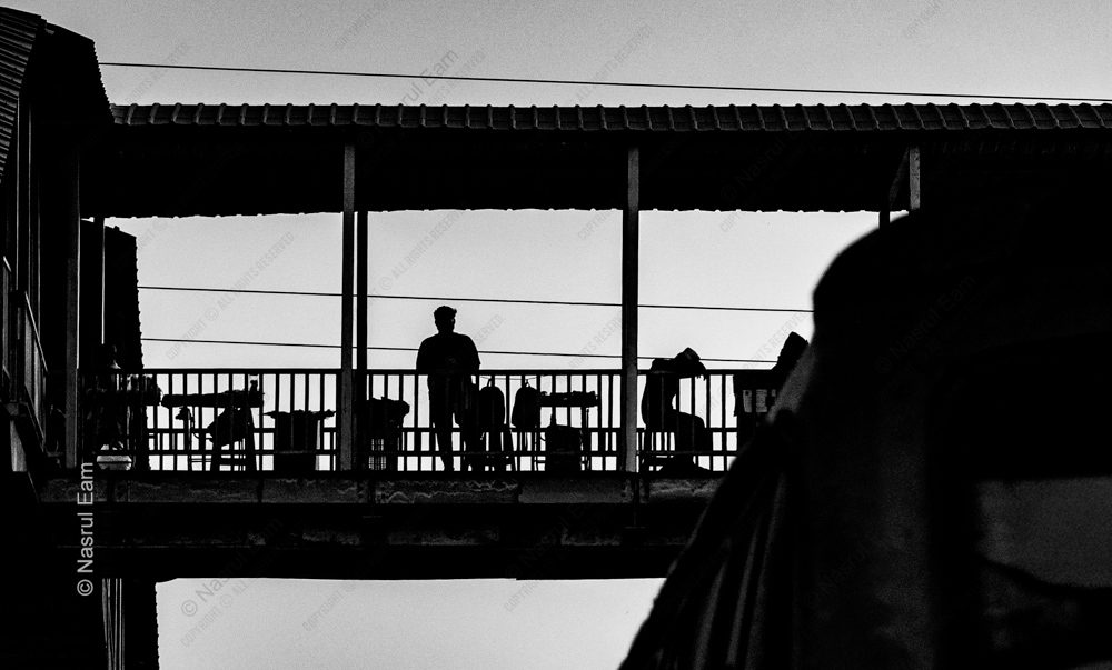 Traveler on the Overpass