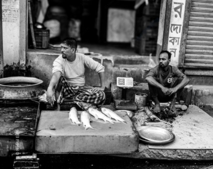 Between Sales and Stillness