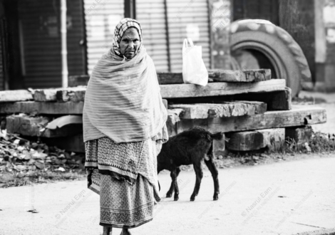 Quiet Dignity: Woman and Young Goat