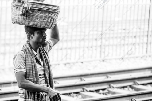 Tracks of Labor