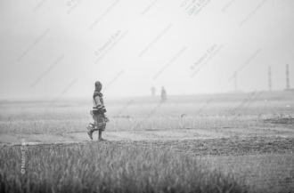 The Horizon, the Field, and Three Figures