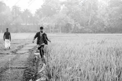 A Purposeful Journey