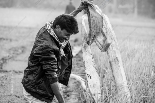 Burden of the Harvest