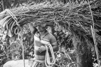 A Stoicism Born of Necessity