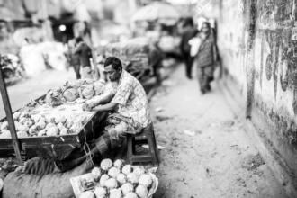 Coconuts and Contemplation