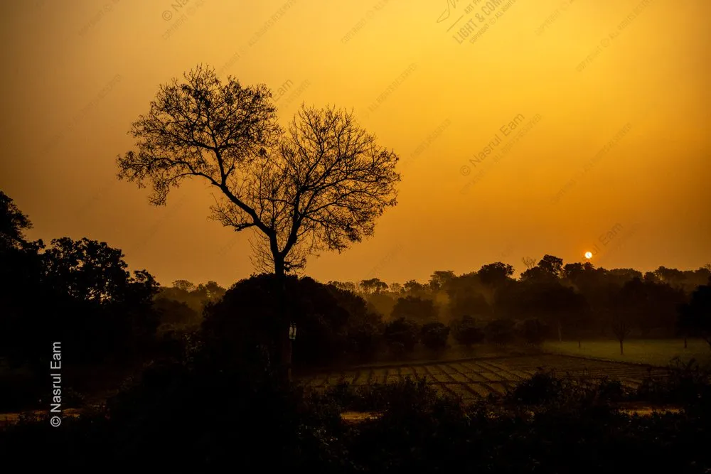 Where Light Begins to Leave
