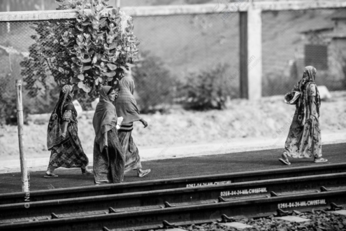 Tracks and Transient Lives