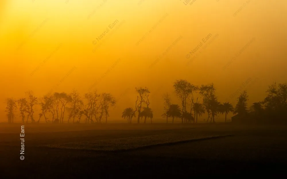 Golden Threshold