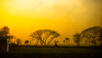 When the Day Softly Ends