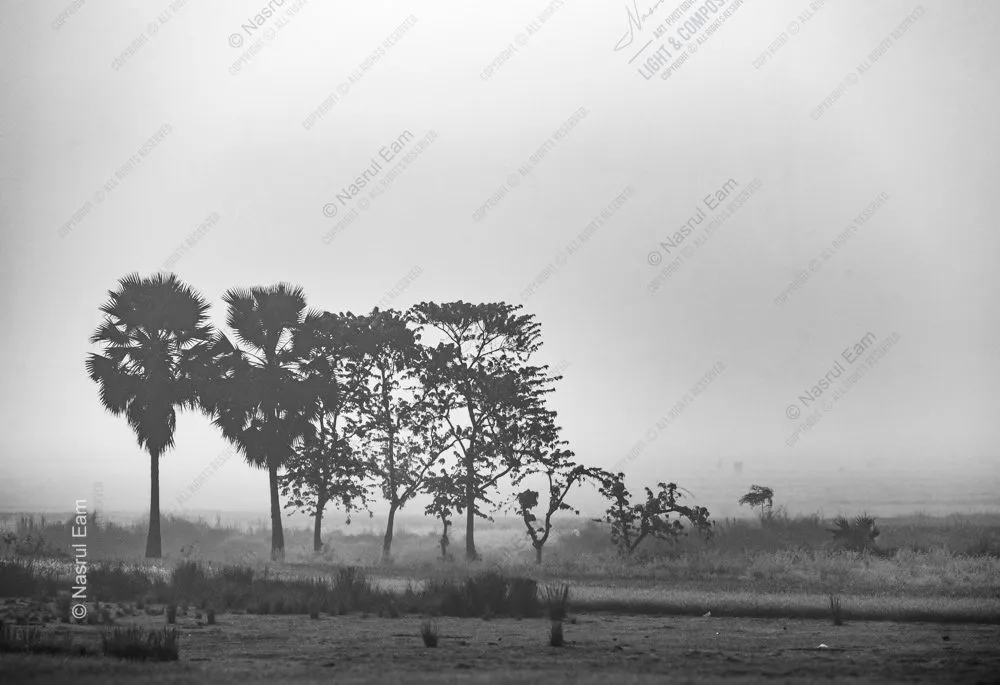 Ephemeral Sentinels