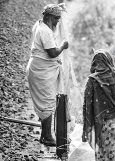 Along the Rails: A Quiet Encounter
