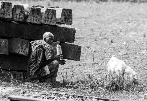Man Resting Beside Concrete Sleepers with Grazing Goat