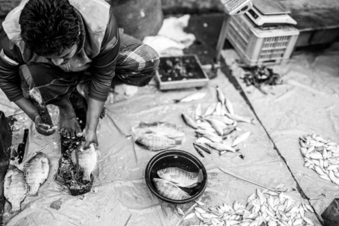 The Weight of the Catch