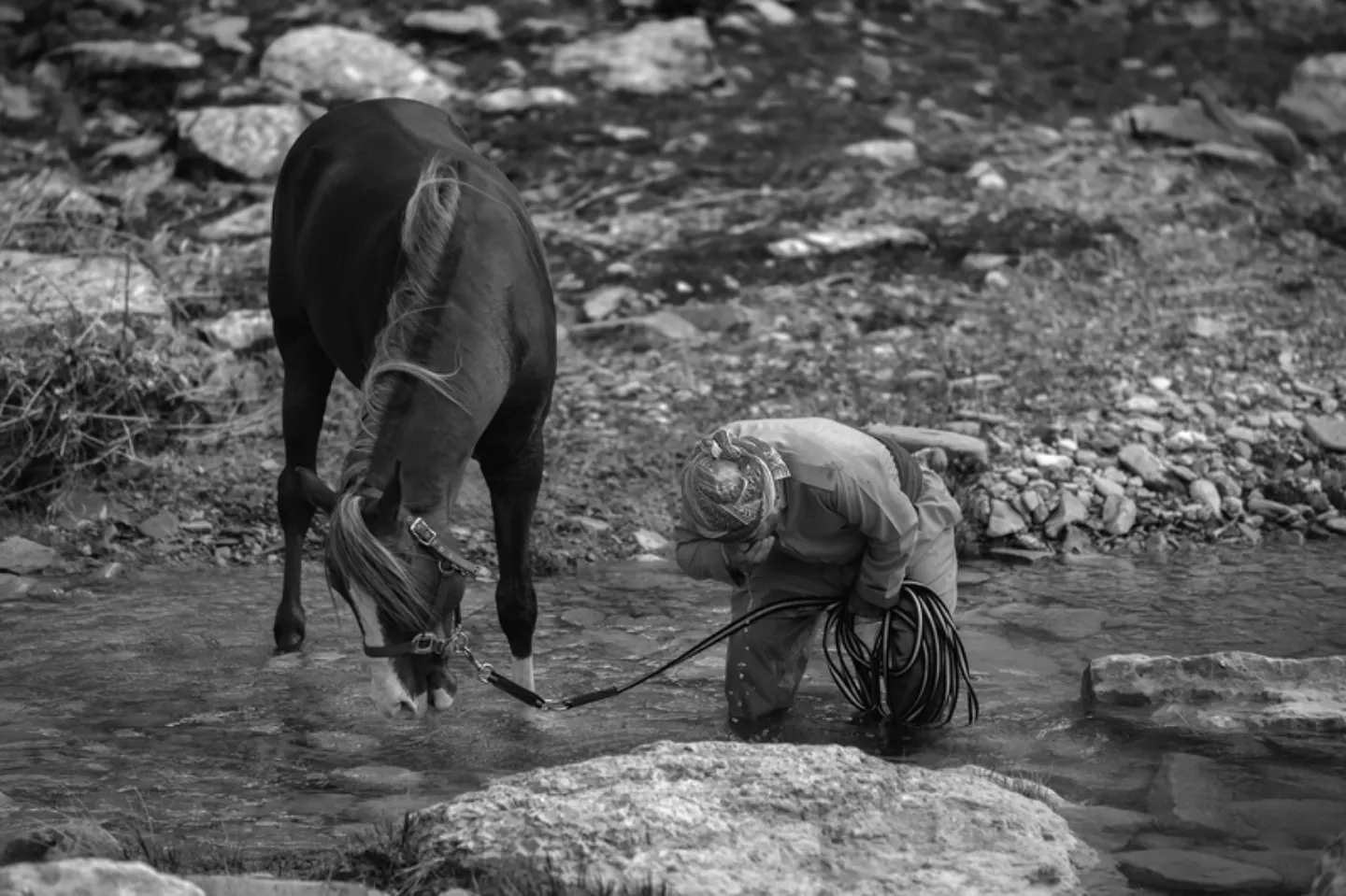 Tales of Trust and Companionship by Armin Abdehou - Photojournalism, Art Photography, Photography Education, Armin Abdehou, Photo of the Day