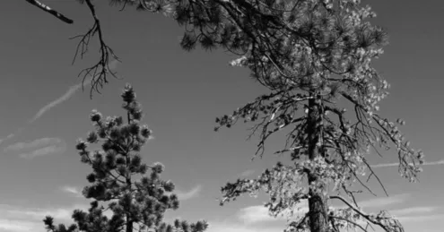 Yosemite Cliffside by Jack Hoye - Nature Photography, Landscape Photography, Yosemite Photography, Jack Hoye, Photo of the Day