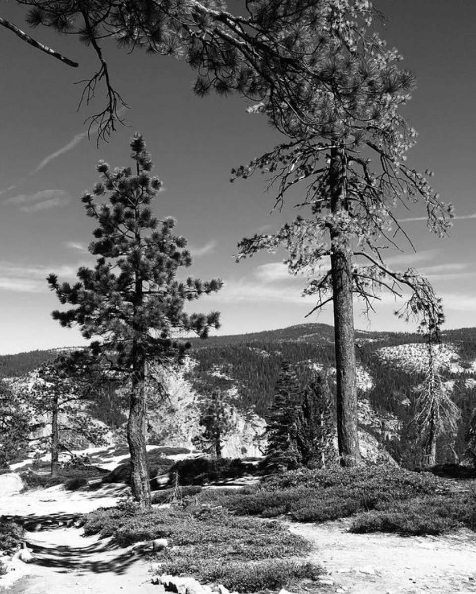 Yosemite Cliffside by Jack Hoye