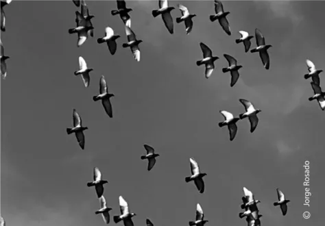 Forward as One by Jorge Rosado - Photojournalism, Photography Awards, Photo of the Day, Art Photography, Online Photography Courses