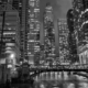 Grey Chicago by Olga Kulemina