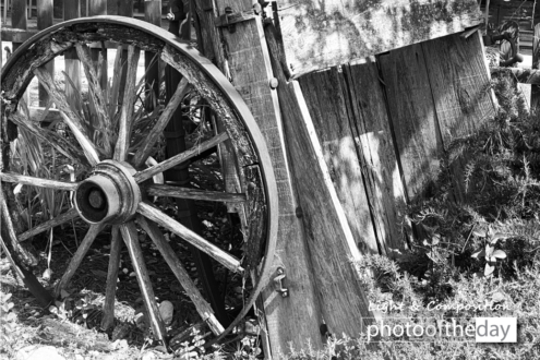 Left behind by Jorge Rosado - Photojournalism, Photography Awards, Art Photography, Jorge Rosado, Black and White Photography