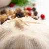 Savor the Essence of Garlic by Silvia Bukovac Gasevic - Art Photography, Still Life Photography, Food Photography, Photo of the Day, Light & Composition University