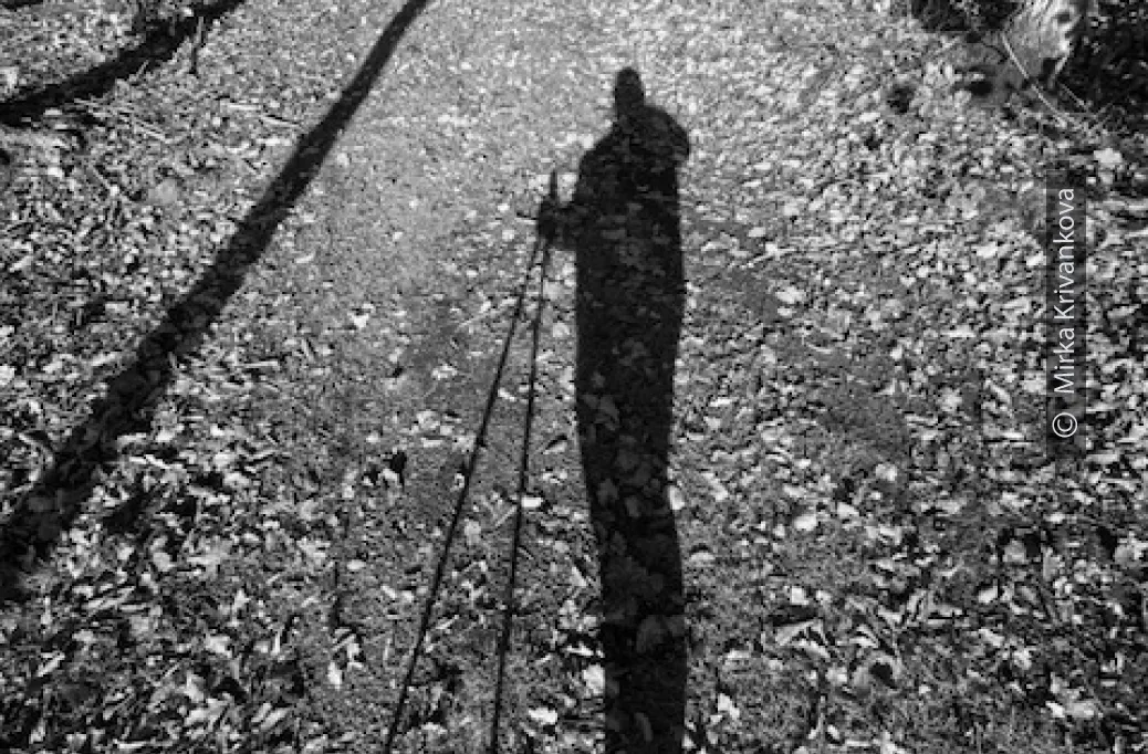 Selfie Portrait in the Forest by Mirka Krivankova