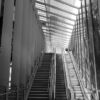 The Escalator by Leanne Lindsay - Architectural Photography, Photojournalism, Documentary Photography, COVID-19 Photography, Leanne Lindsay