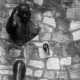 The Man Who Walked through the Wall by Mirka Krivankova