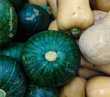 Complementary by Taufik Gustian - Art Photography, Still Life Photography, Photo of the Day, Photography Education, Online Photography Courses