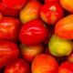 Green in between Red by Taufik Gustian