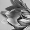 Every Child Is an Artist by Kirsten Bruening - Art Photography, Child Photography, Photo of the Day, Photography Education, Online Photography Courses