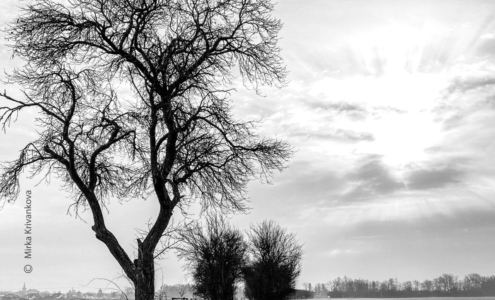 A Beggar by Mirka Krivankova - Photojournalism, Art Photography, Documentary Photography, Mirka Krivankova, Photography Awards