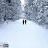 Winter Wonderland by Anna Cicala - Nature Photography, Winter Photography, Photo of the Day, Award Winning Photography, Photography Education