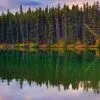 Green Thumb by Anna Cicala - Nature Photography, Photography Awards, Photo of the Day, Banff Photography, Anna Cicala
