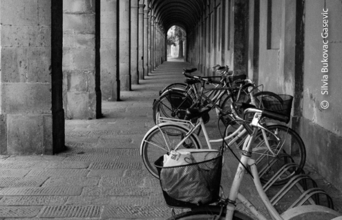 Lucca by Silvia Bukovac Gasevic - Street Photography, Photojournalism, Art Photography, Photography Awards, Photo of the Day