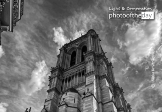 Notre-Dame Paris by Mirka Krivankova